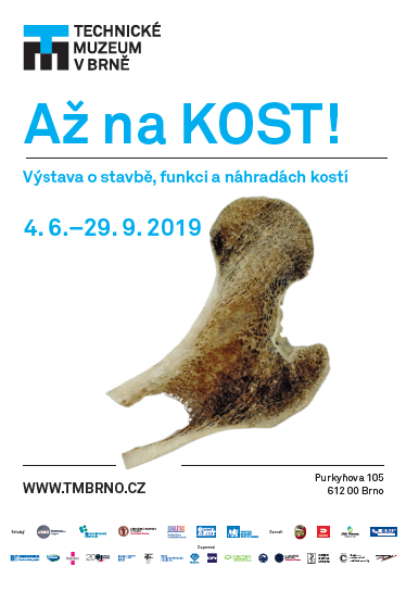 az_na_kost